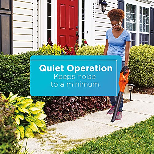 BLACK+DECKER 20V MAX Cordless Leaf Blower, Lawn Sweeper, 130 mph Air Speed, Lightweight Design, Battery and Charger Included (LSW221)